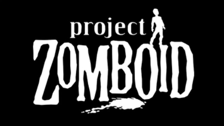 В Project Zomboid появился  мультиплеер.