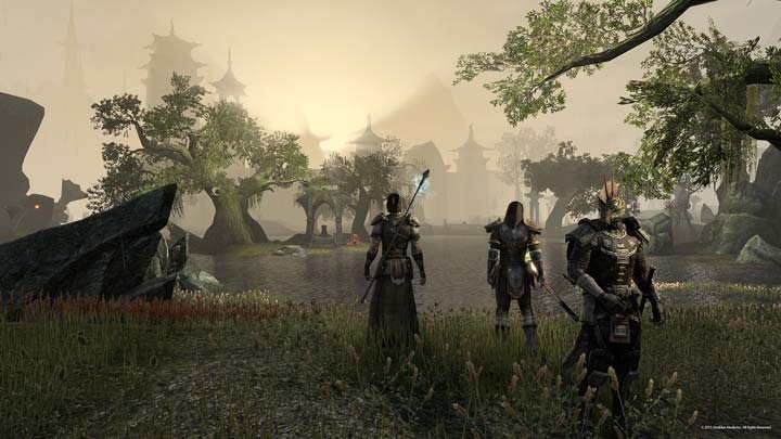 ZeniMax ответили на вопросы пользователей The Elder Scrolls Online