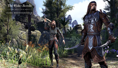 В The Elder Scrolls Online вышло дополнение Dark Brotherhood
